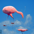 Avatar for theygus