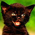 Avatar for BlackCatsBC