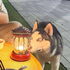 Avatar für Maracujas_a