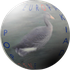 Аватар для tomvecc
