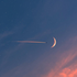 Avatar di moon2421