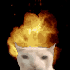 Avatar for cowoftheseacow