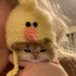 jungielip için avatar