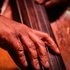 Аватар для Danny Ryan Jazz Band