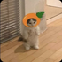 Avatar for softsesame