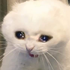 Avatar für snacciOwO