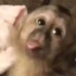 ralinex 的头像