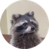 Avatar for Dryjan_