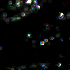 Avatar for Melody_dream
