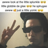 Avatar for maxandsnakes