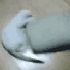 Аватар для lefert_