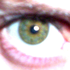 Avatar for demented_kitten