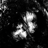 Avatar for W_Official44