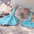 blue-footed 的头像