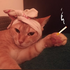 Avatar for thomazbarbara