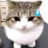 Avatar for mercyoverwatch