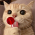 Avatar for hypdown