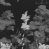 Avatar for Hobi_luvr