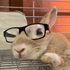 Avatar for dellasigma