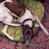 Avatar for sockwhippet