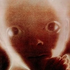 NerviousHenry için avatar