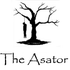 The_Asator さんのアバター