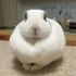 Avatar for twocupaphixe