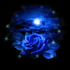 Avatar for missimpatience