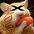 Avatar di iXDujacyhamster