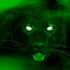 Avatar for greenpanther