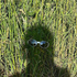 Avatar for zoribahryani