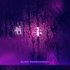 Bliss Phenomena 的头像