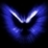 Avatar de halcy0n