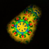 Avatar for Nickmalone991
