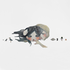 Avatar for velvettmood