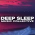 Avatar for Deep Sleep Music Collective