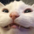 Avatar für eu_Leeo