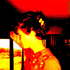 Avatar for CollectorQ