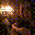 Avatar for insanidies