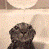 Avatar for breadbinbran