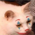 Avatar de sparkiss24