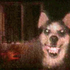 Avatar for iforgorforwn