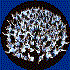 Avatar de popCHORn