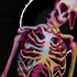 VapewaveCadaver için avatar