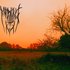 Mourning Fog 的头像