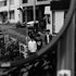 Awatar dla 森は生きている