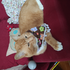 Kitschkitty için avatar