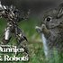 Bunny Wiggle 的头像