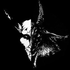 Avatar for vojatheweak