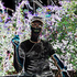 Avatar for ls0107